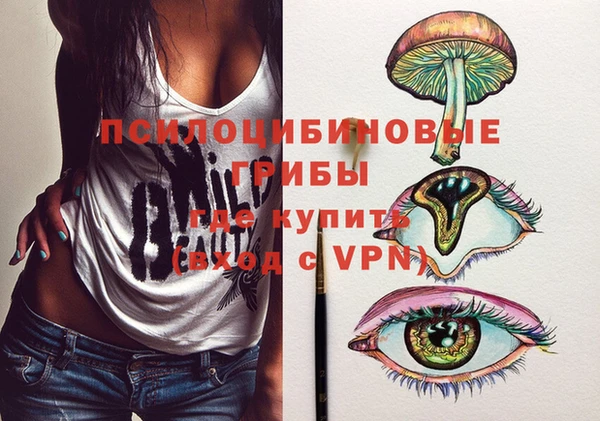 гидропоника Надым