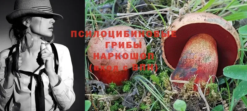 Псилоцибиновые грибы Magic Shrooms  купить наркотики цена  Москва 