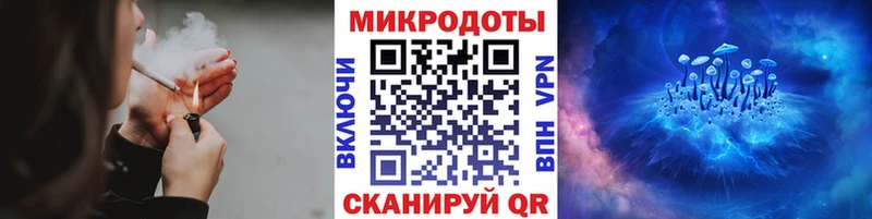 цены Москва Псилоцибиновые грибы мицелий