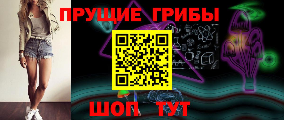 Галлюциногенные грибы Psilocybine cubensis Москва