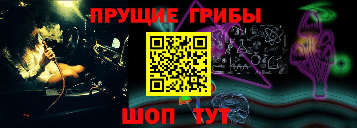 Псилоцибиновые грибы Psilocybine cubensis  Москва 