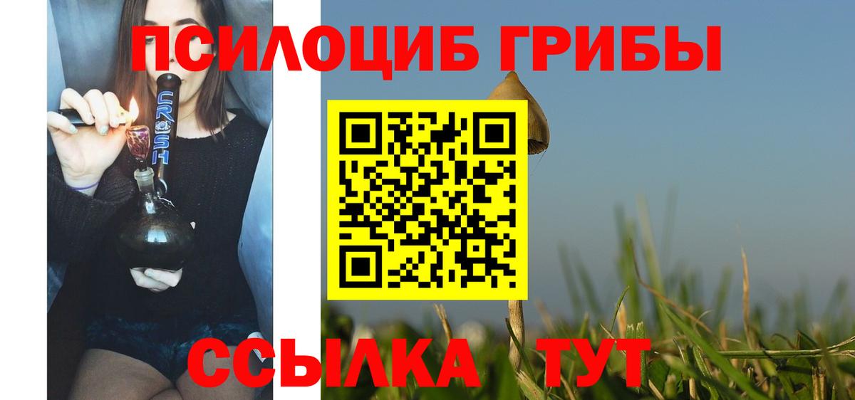 Москва  Псилоцибиновые грибы GOLDEN TEACHER  Вход с VPN  Галлюциногенные грибы Cubensis 