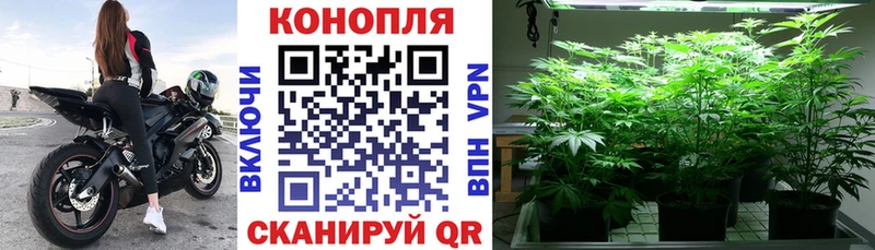 купить наркотик  Москва  Марихуана SATIVA & INDICA 