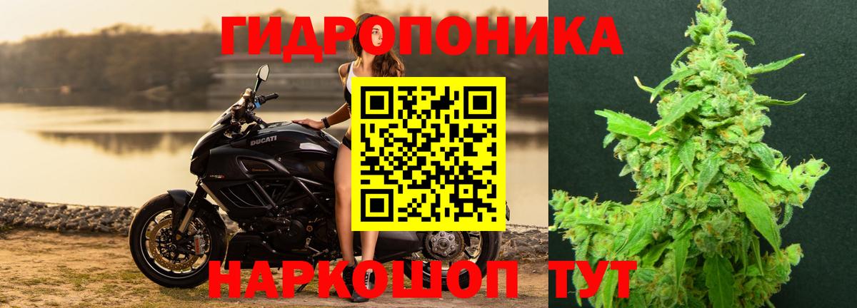 Марихуана сатива  Шишки марихуана индика  Бошки Шишки гибрид  Москва  МАРИХУАНА Bruce Banner 